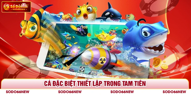 Cá đặc biệt thiết lập trong Tam Tiên